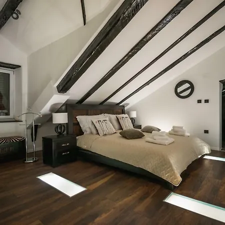 Magic Dream * שיבניק